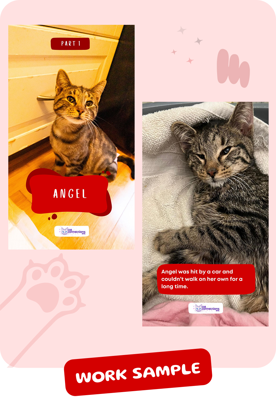 Two images of a tabby cat named Angel, one sitting on the floor and one lying on a blanket resting.