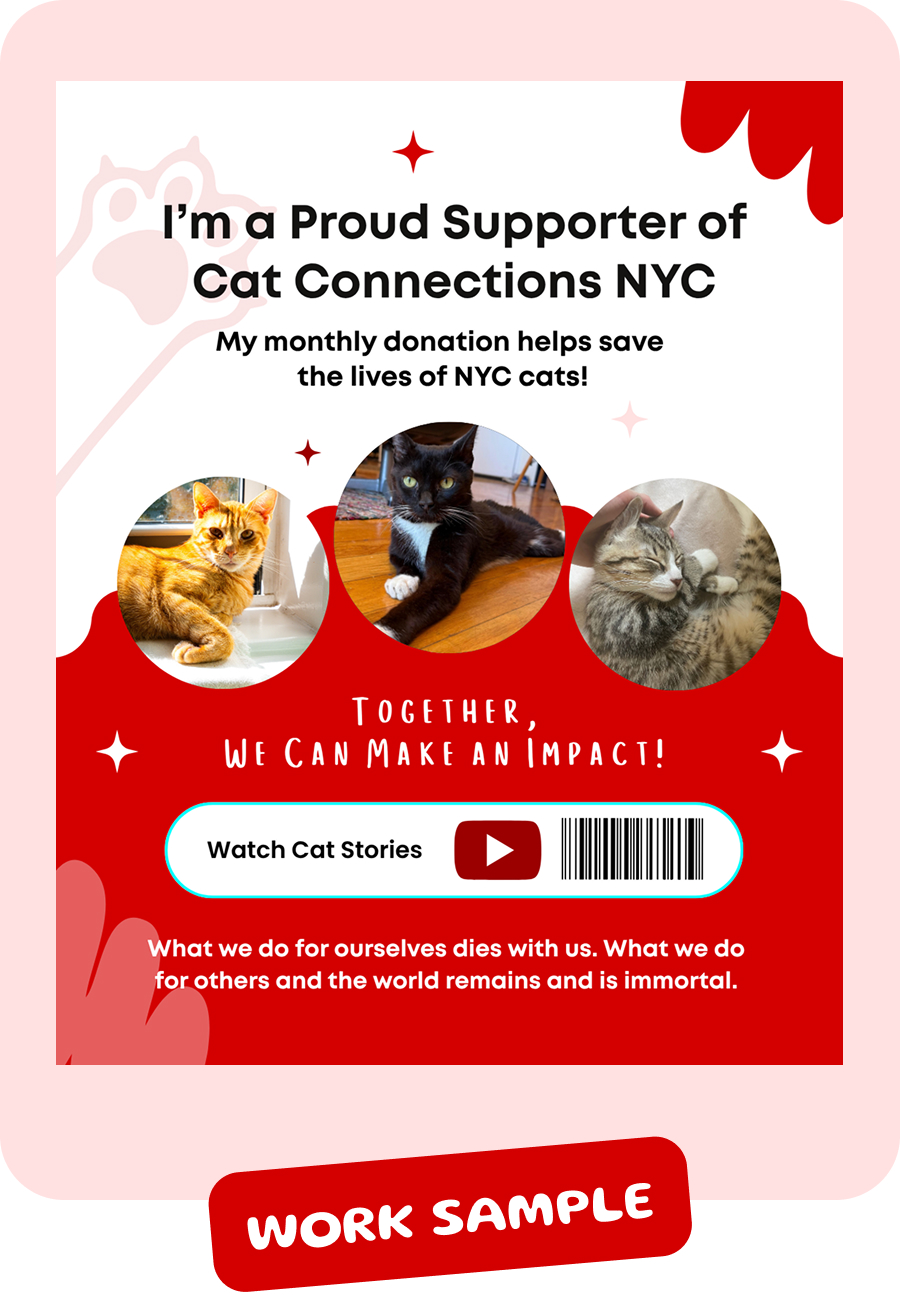 Three cats in circles with text supporting Cat Connections NYC and saving the lives of NYC cats.