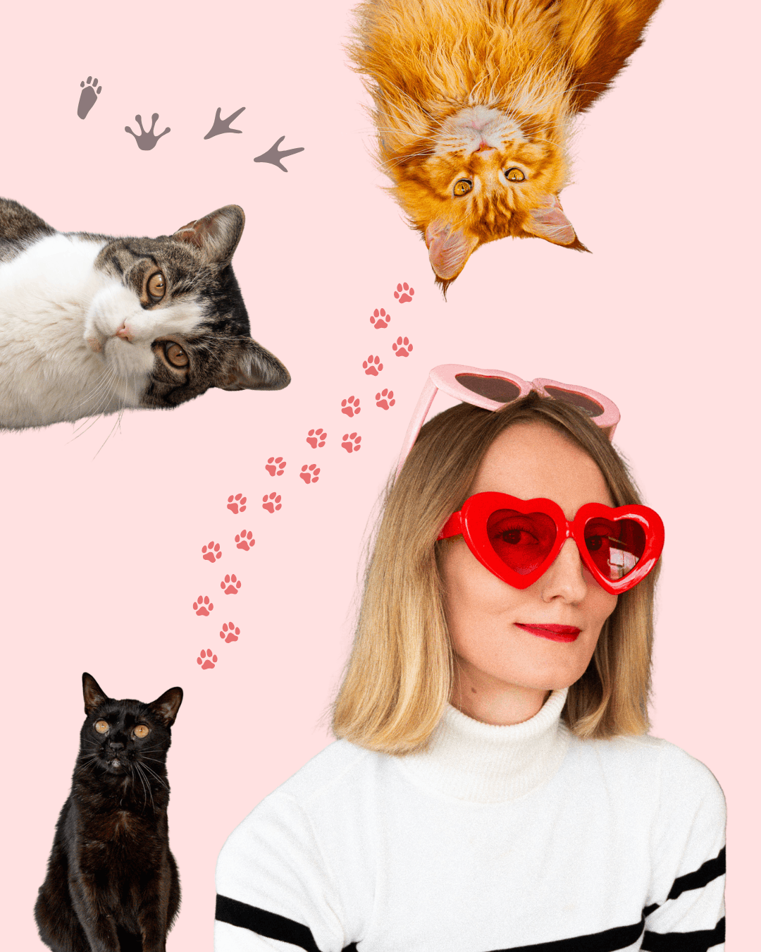Woman with heart-shaped sunglasses and three cats on pink background with paw and bird footprints.