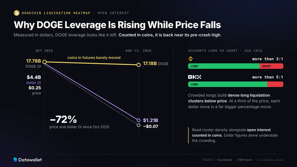 Why Is DOGE Leverage Rising While Price Falls?