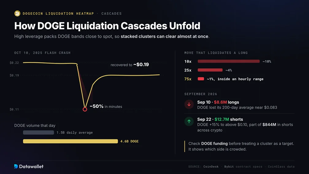 How Do DOGE Liquidation Cascades Unfold?