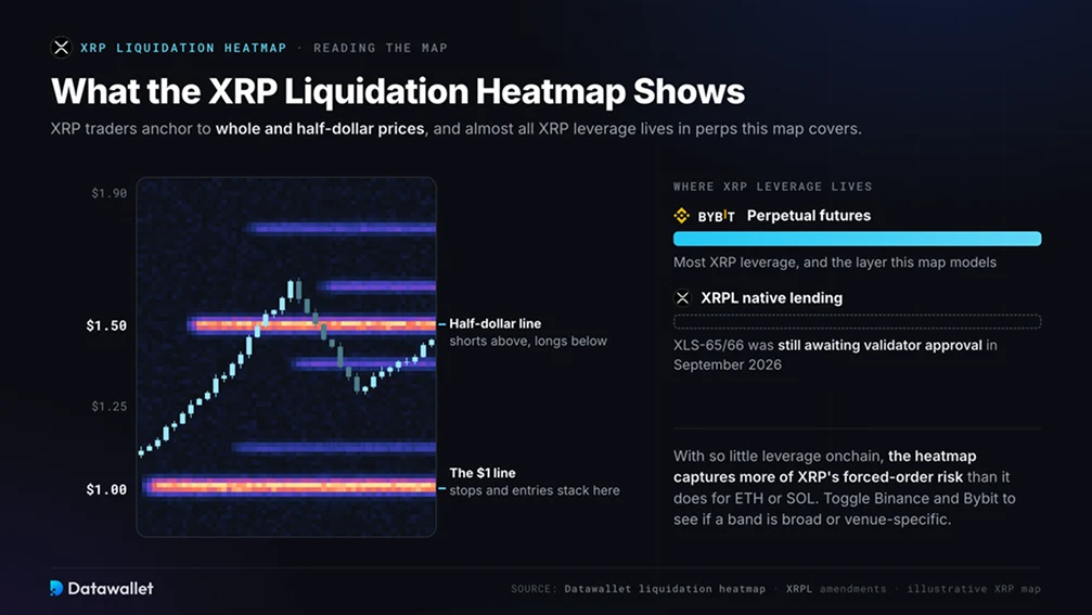 What Does the XRP Liquidation Heatmap Show?