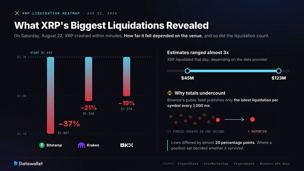 What Did the Biggest XRP Liquidations Reveal?
