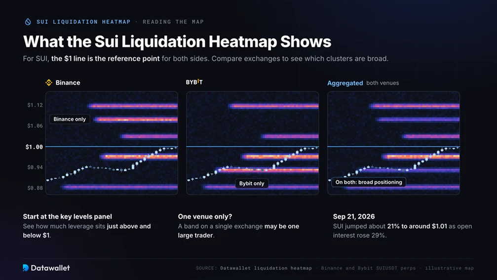 What Does the Sui Liquidation Heatmap Show?