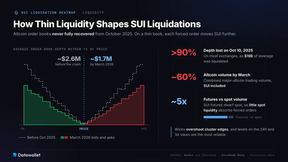 How Does Thin Liquidity Shape SUI Liquidations?