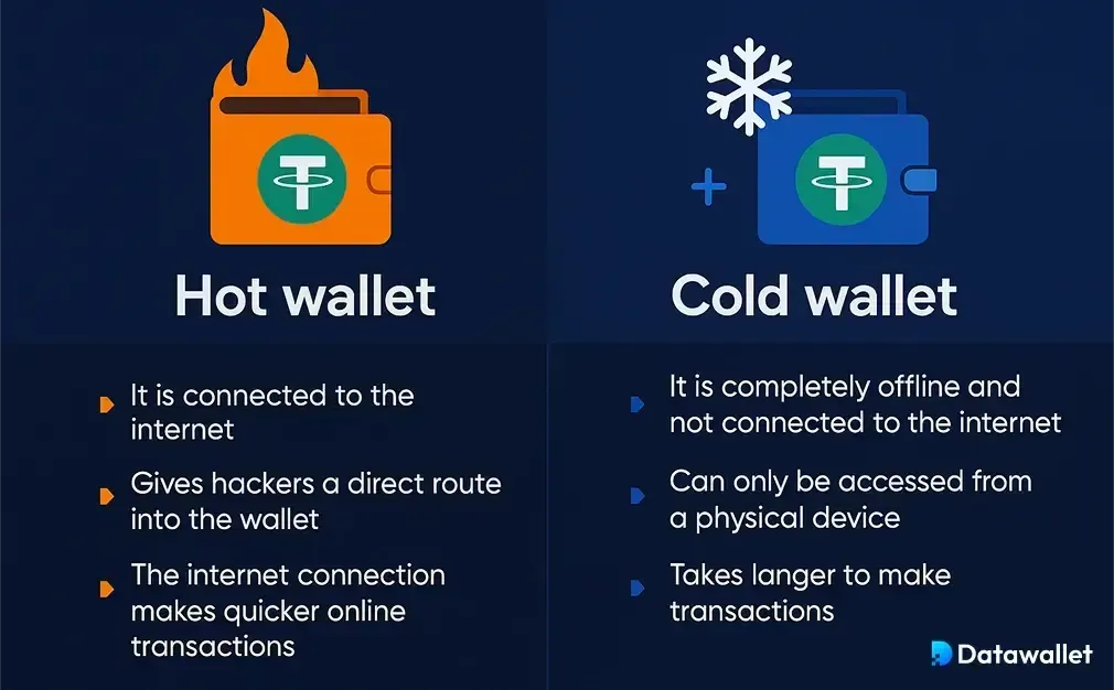 محافظ USDT مقابل المحافظ الباردة