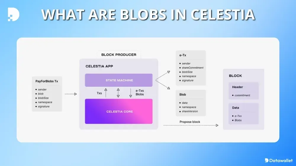 ما هي " Blobs  Celestia؟