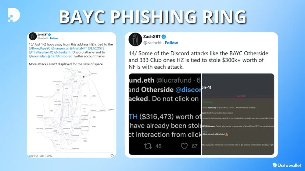 BAYC Phishing Ring