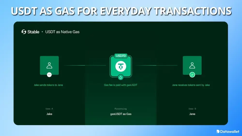 StableChain USDT  Gas повседневных транзакциях