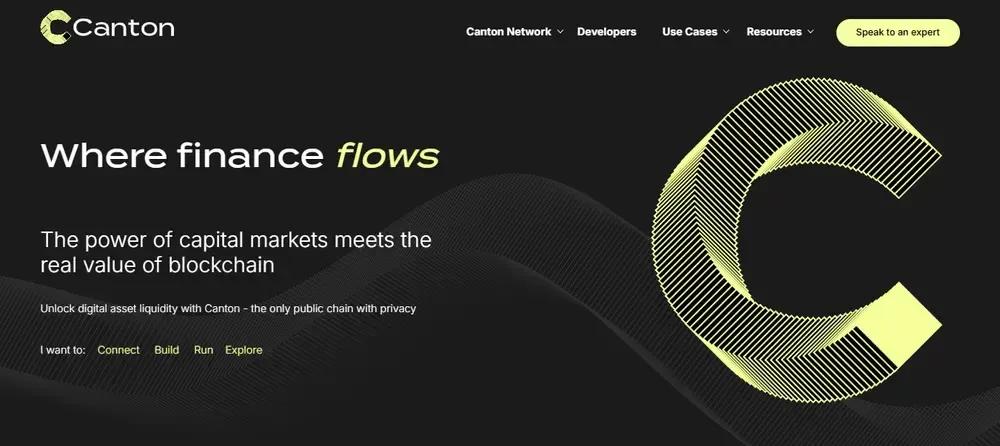 ما هي شبكة كانتون؟