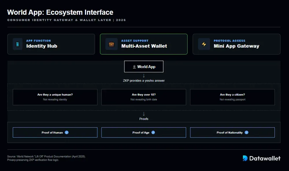 النظام البيئي العالمي للتطبيقات
