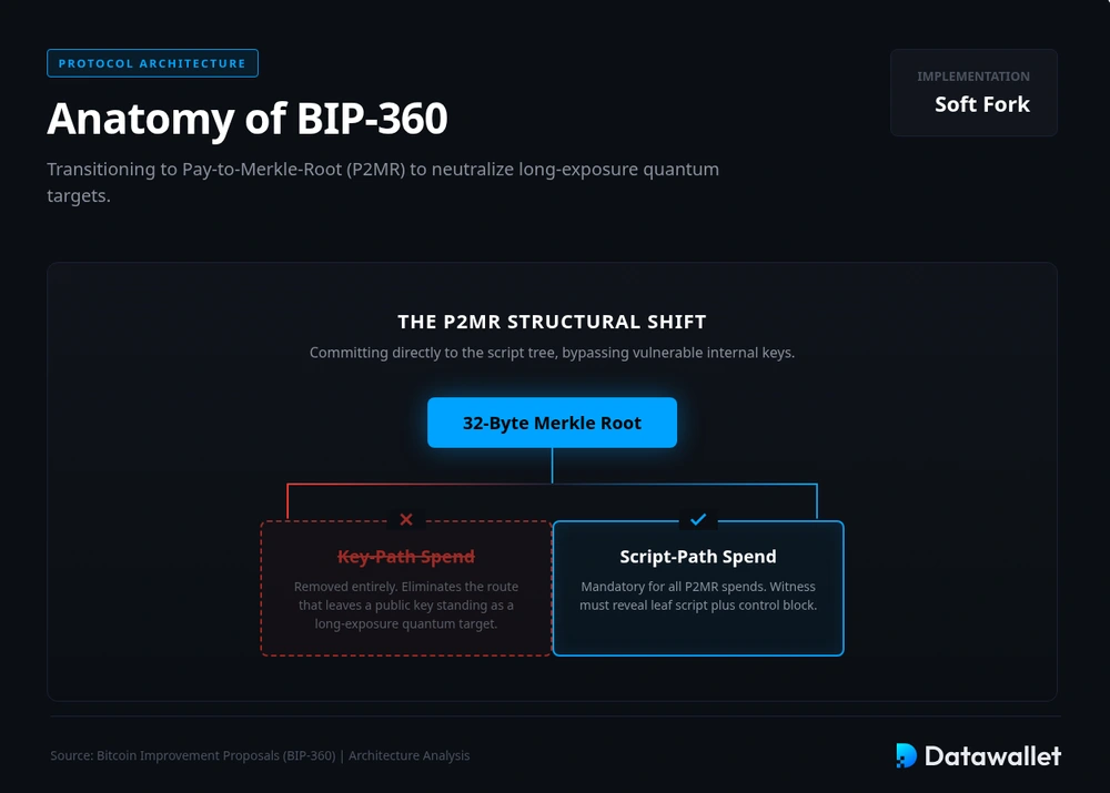 مكونات BIP-360