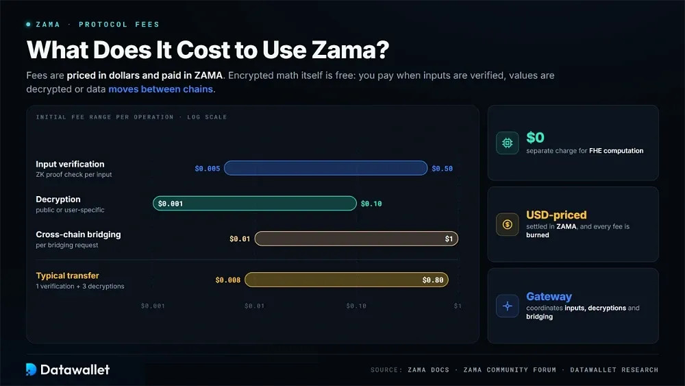 What Does It Cost to Use Zama