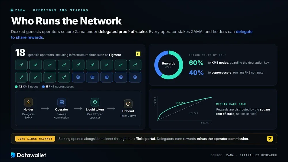 Operators, Staking, and Governance