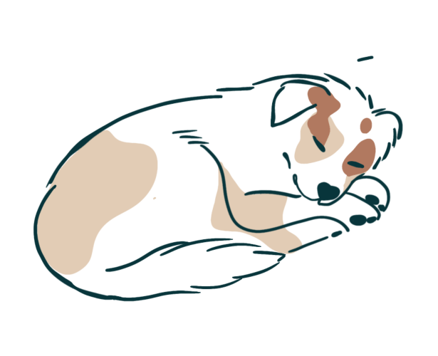 Ilustración de perro descansando acurrucado sobre fondo negro