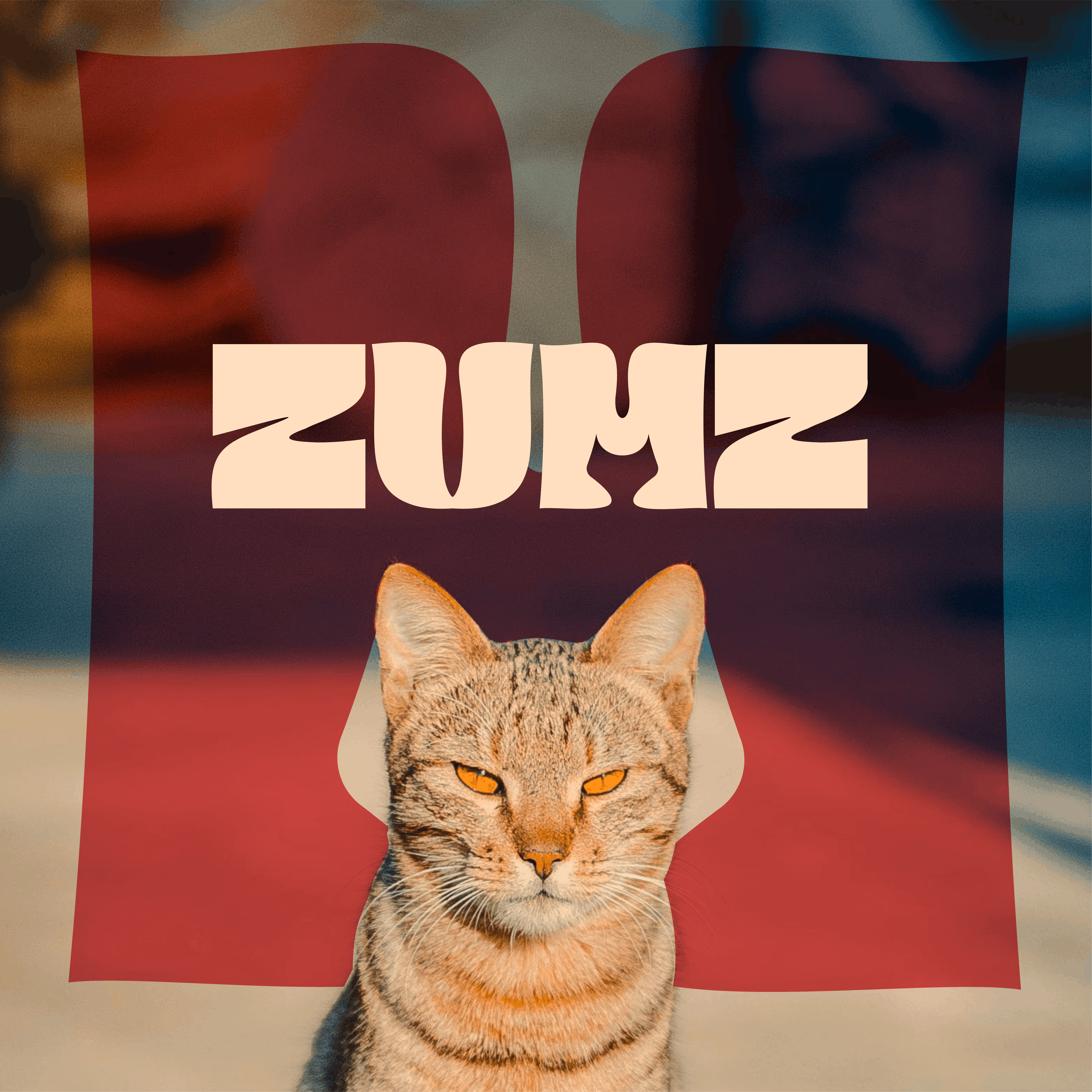 Tabby cat with amber eyes against a blurred background and stylized maroon square with text.