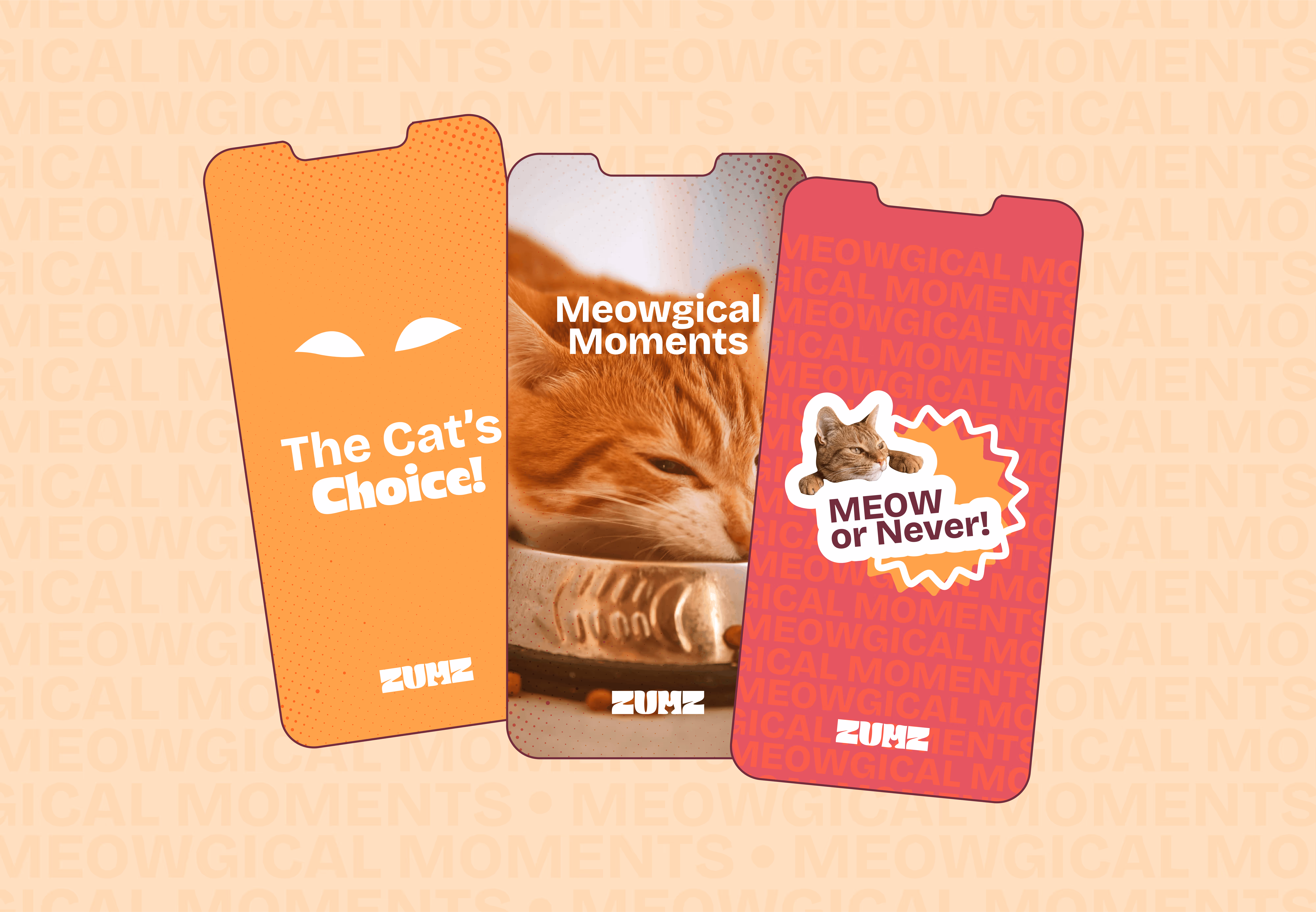 Three phone screens with cat-themed slogans: The Cat's Choice, Meowgical Moments, and MEOW or Never!