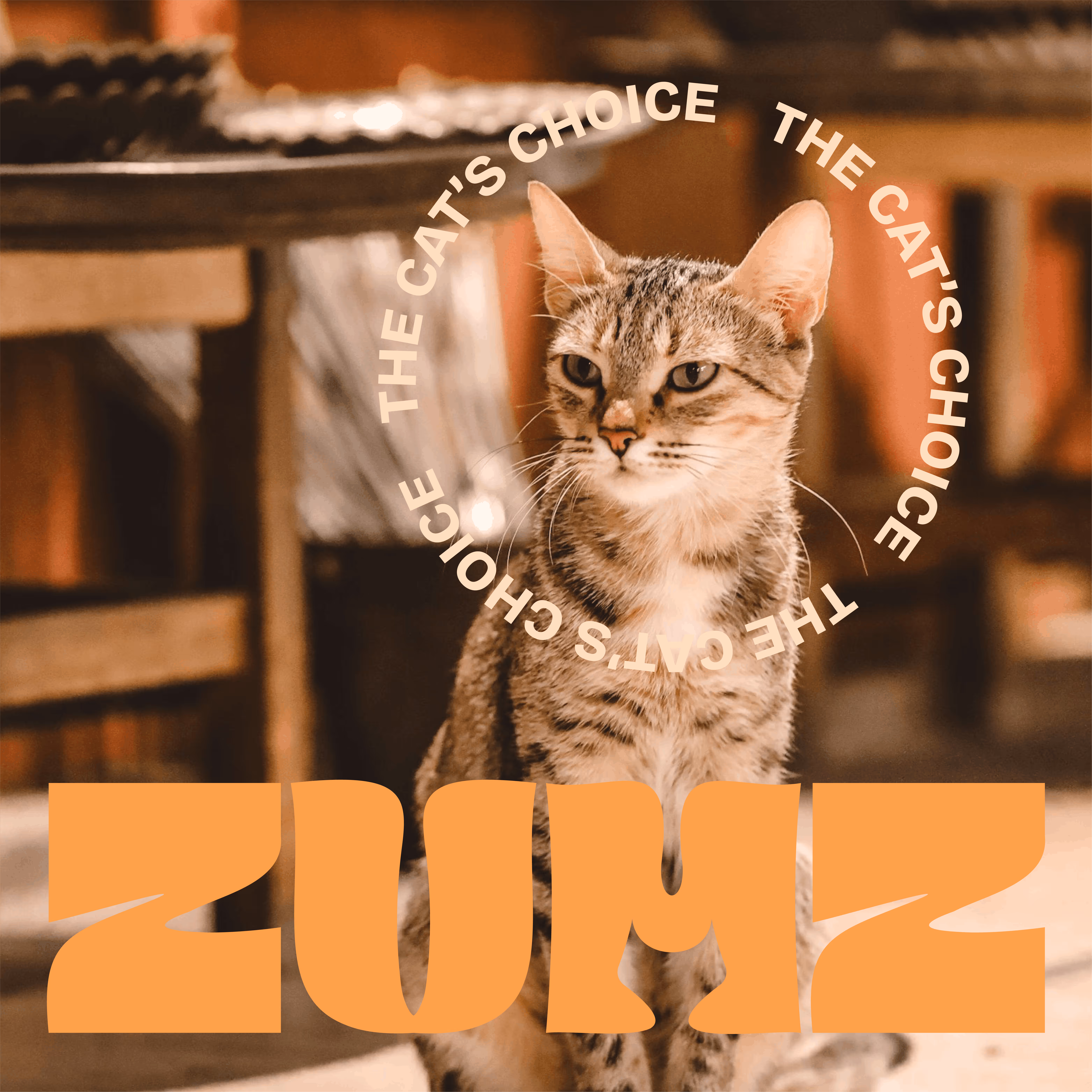 Tabby cat sitting indoors with a blurred wooden table in the background and circular text reading The Cat's Choice.
