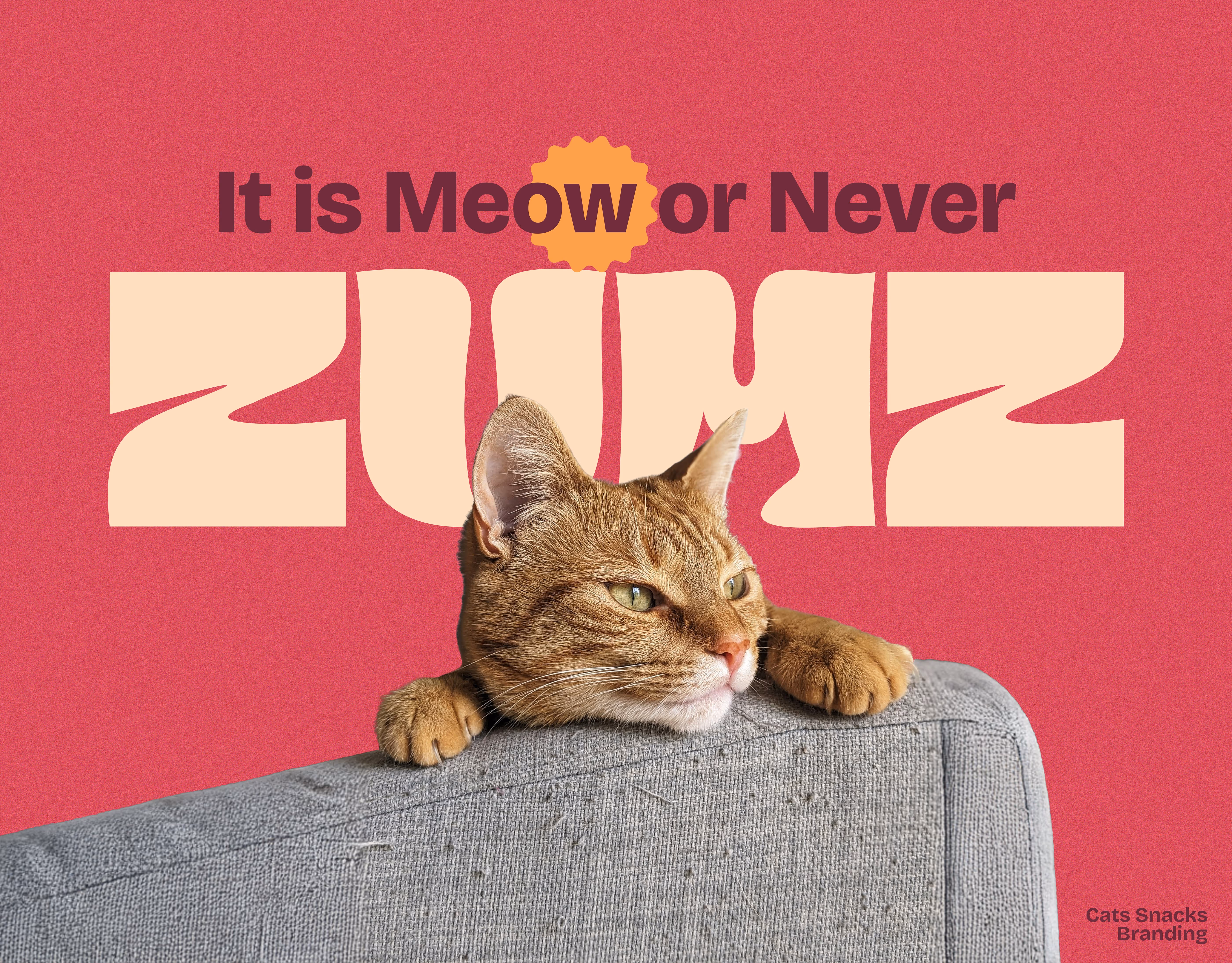 Orange tabby cat resting its head and paws on a gray couch arm against a red background with text.