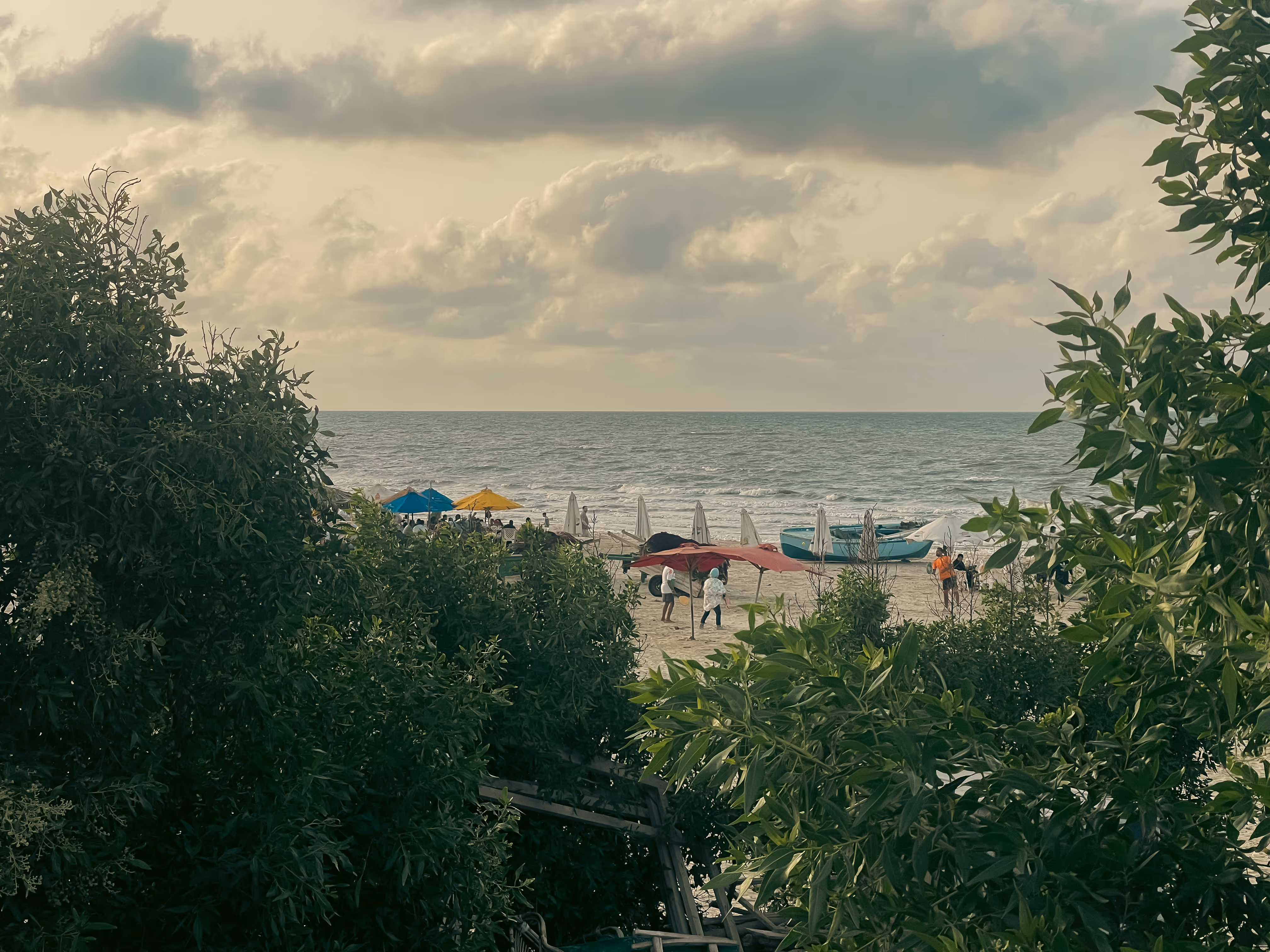Beach scene in Port Said viewed through green foliage with people, colorful umbrellas, and boats by the ocean under cloudy sky.