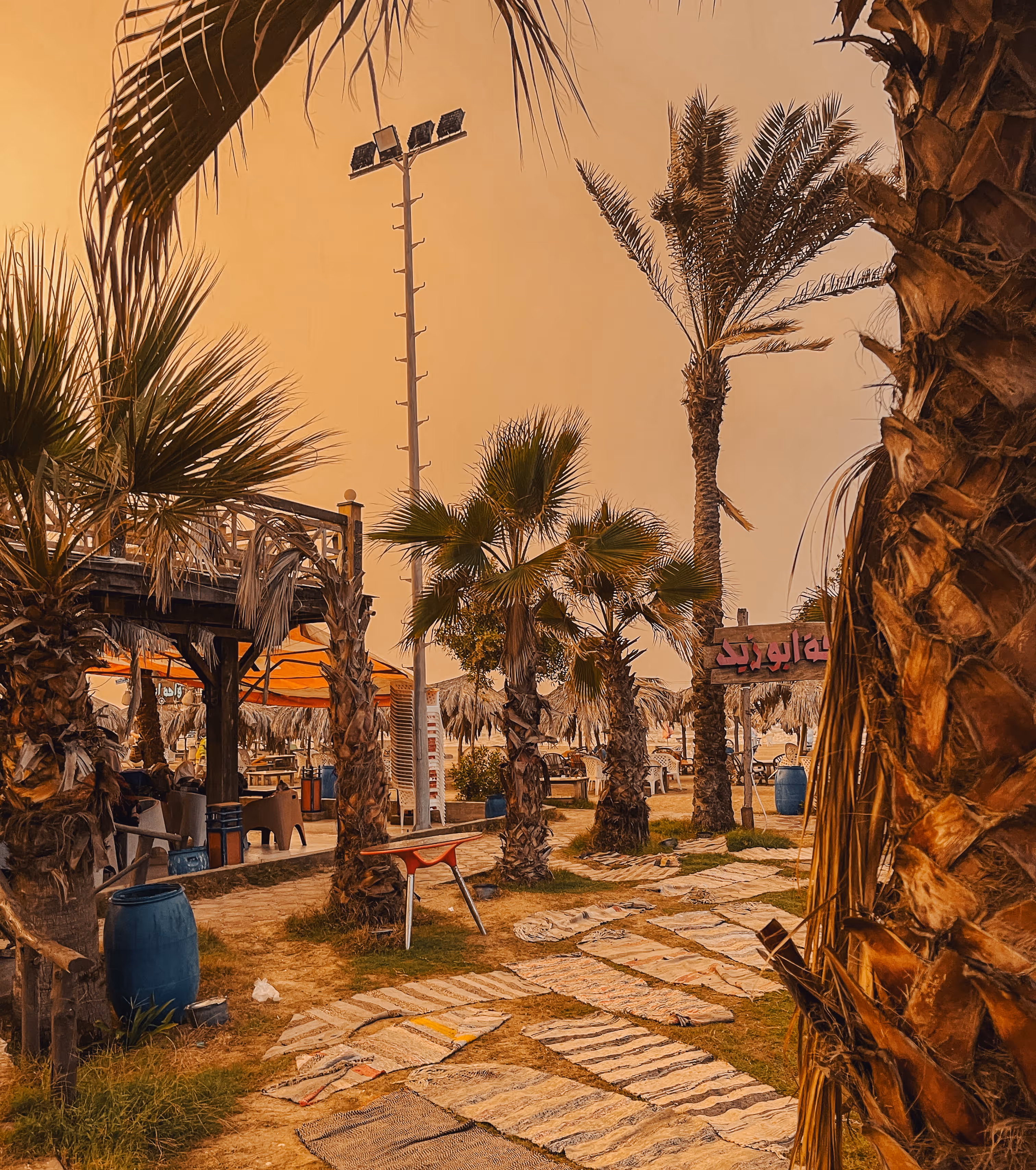Outdoor seating area with palm trees, rugs on ground, tables, and a wooden deck under an orange sky.