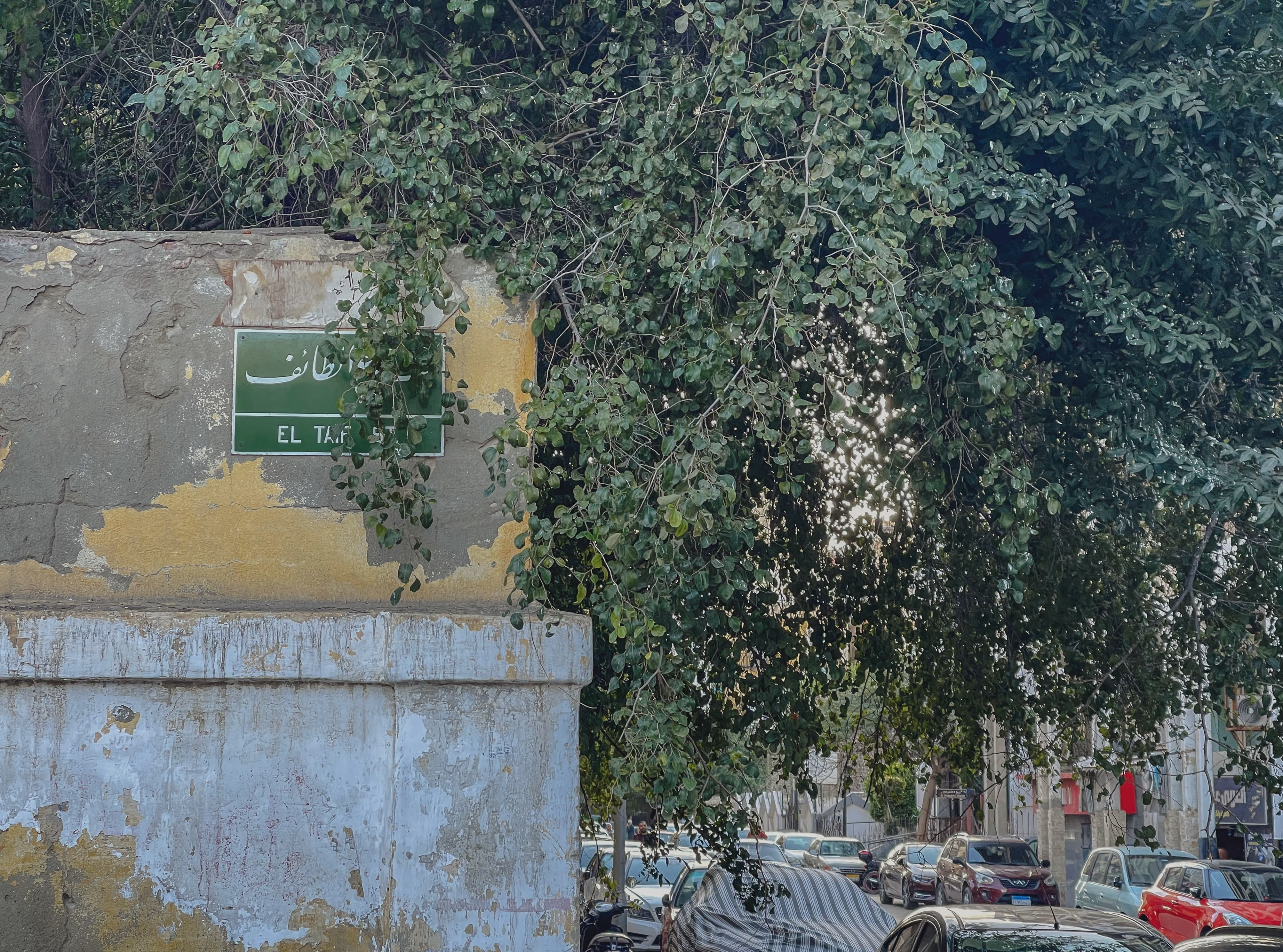 Street scene with a worn yellow and white wall, green street sign, leafy tree, and parked cars.