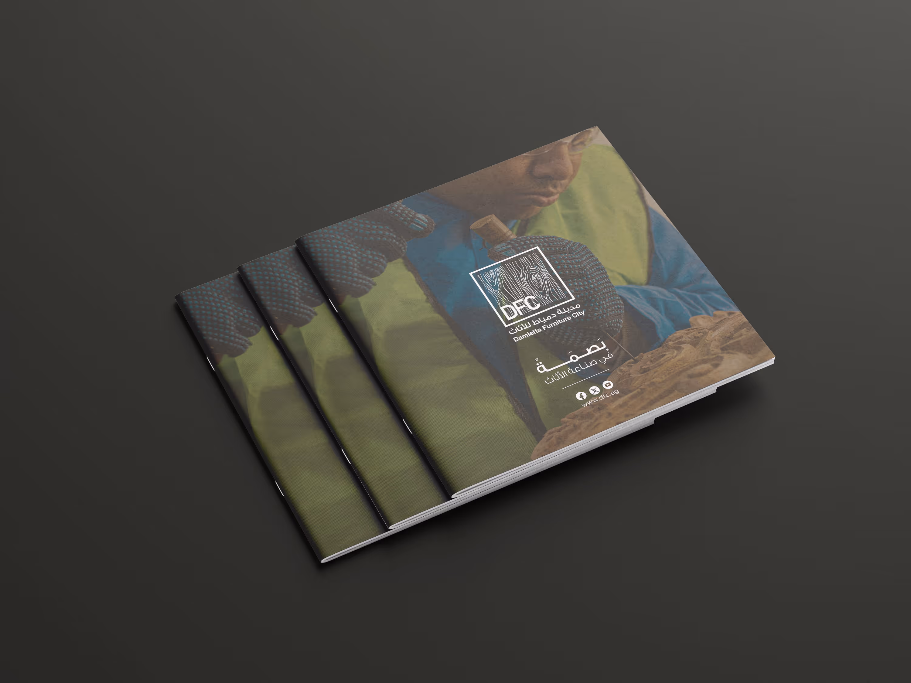 Stack of brochures showing a woodworker carving wood with text and logo of Damietta Furniture City.