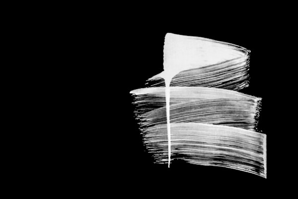 white and black abstract painting