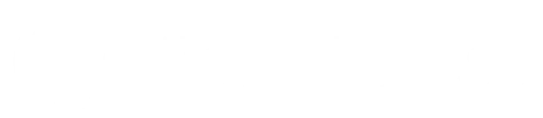 WordPress logo with a W inside a circle followed by the text WordPress.