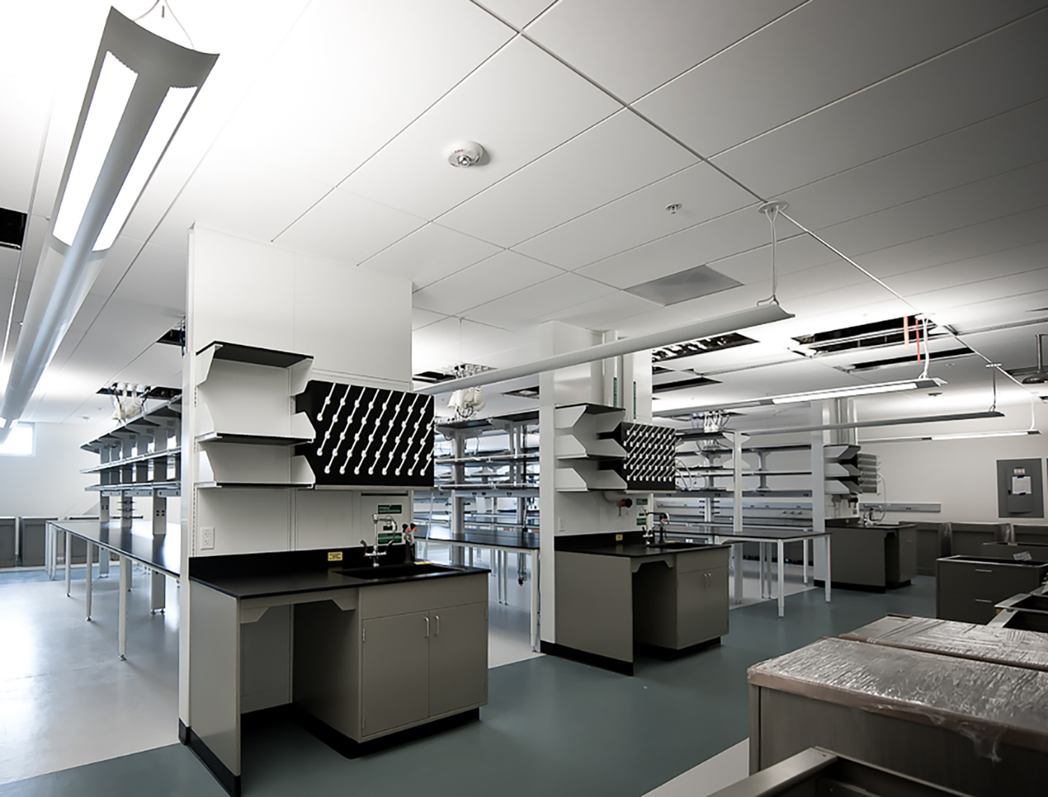 Agensys Ground Up Design Structural Engineering Structural Focus