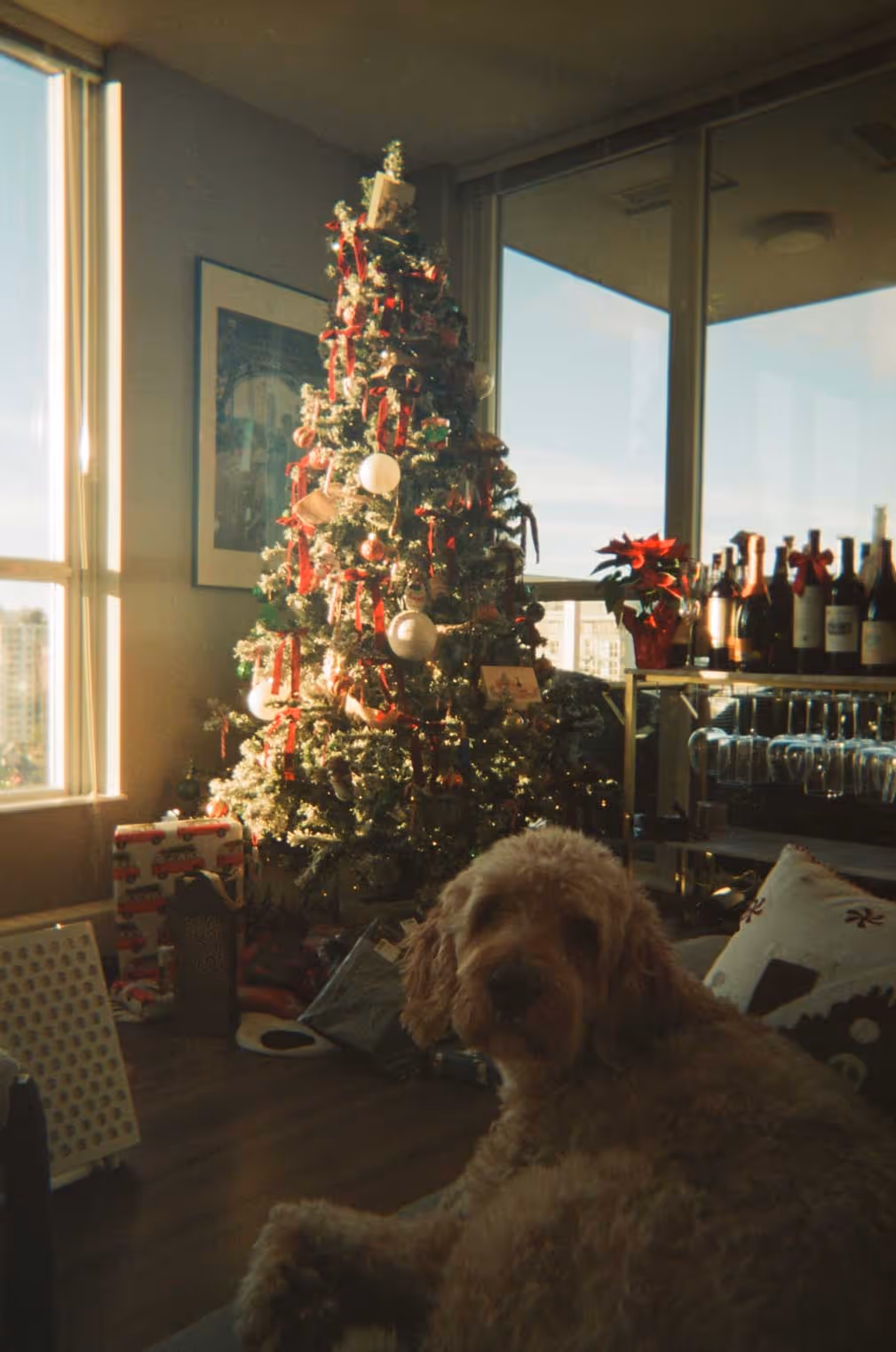 Cozy living room with a decorated Christmas tree, wrapped presents underneath, a golden doodle dog lying on a sofa, and sunlight streaming through large windows.