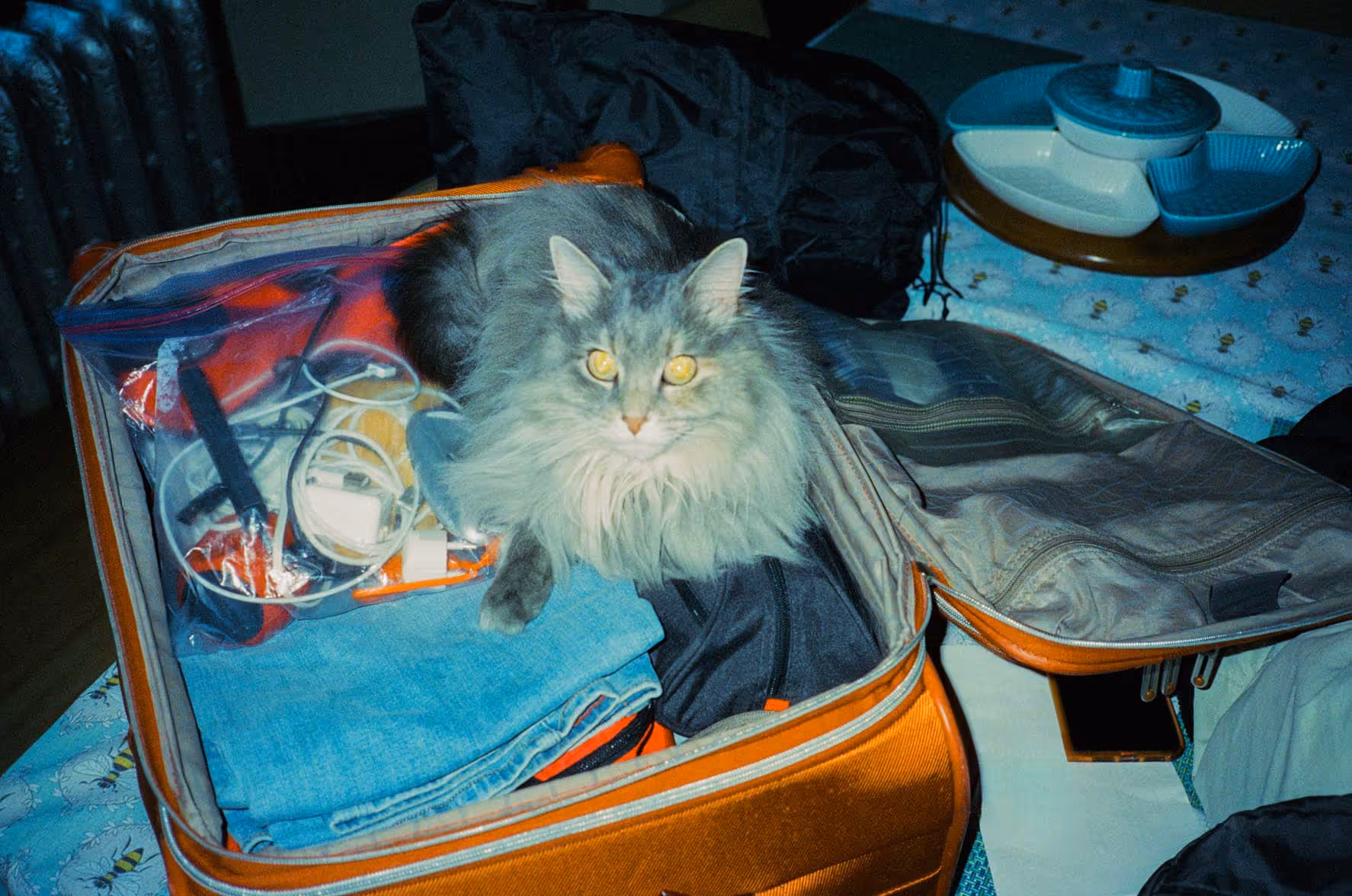 CTA image