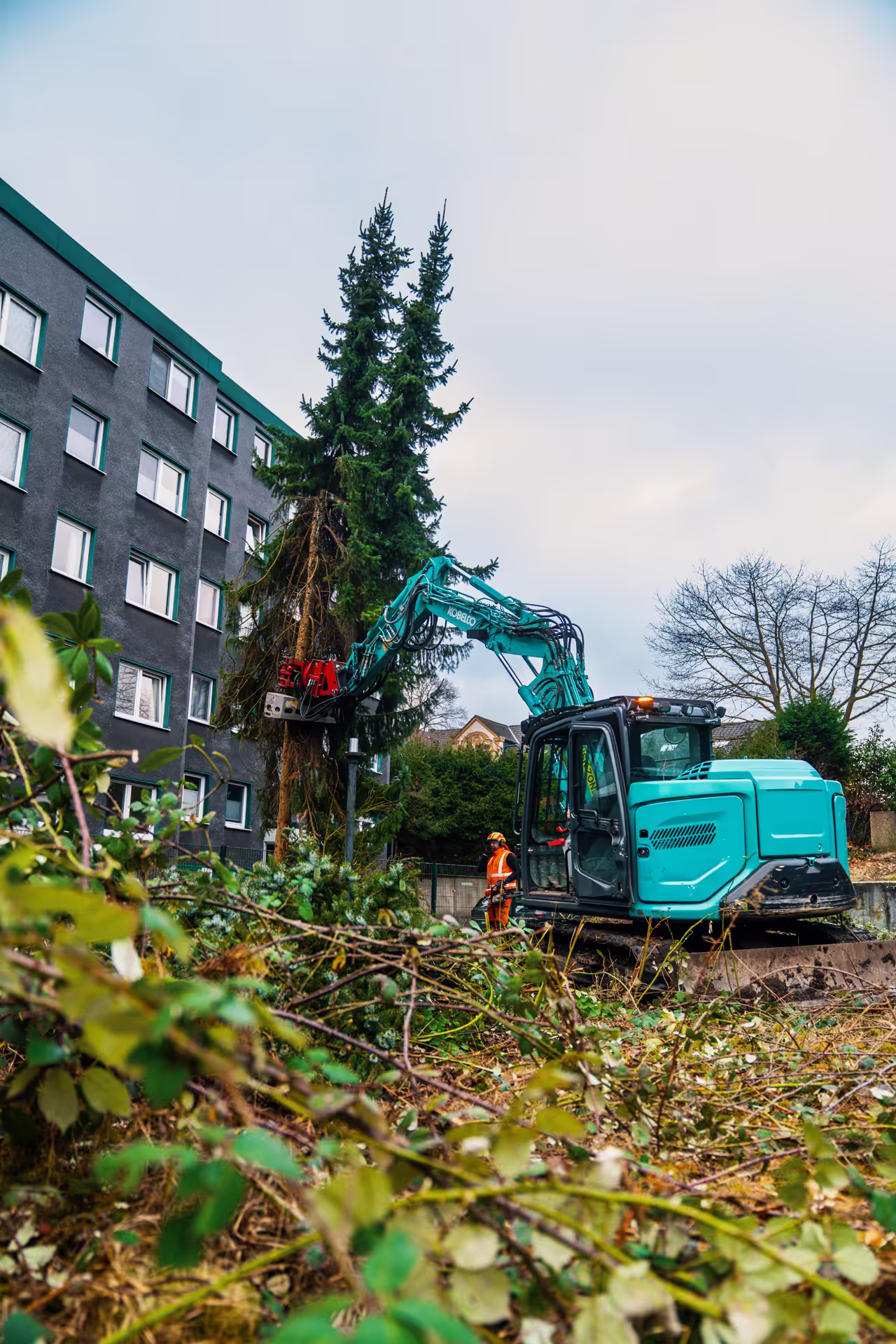 Baufahrzeug hebt einen Baumstamm, Bauarbeiter mit Schutzkleidung steht daneben vor Wohnhaus.