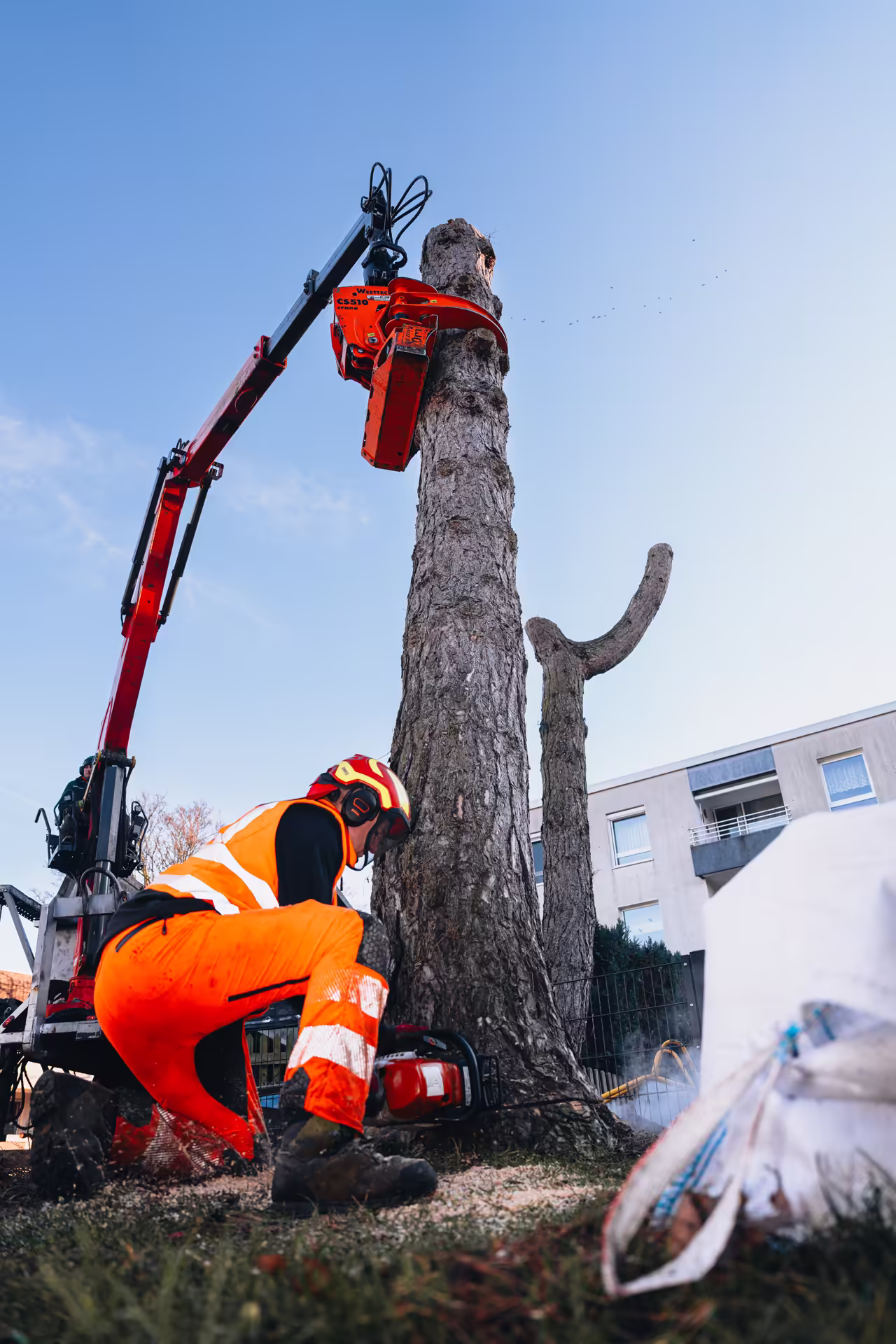 Arborist schneidet Baumstamm mit Motorsäge, Hebebühne greift Baum in Wohngebiet.
