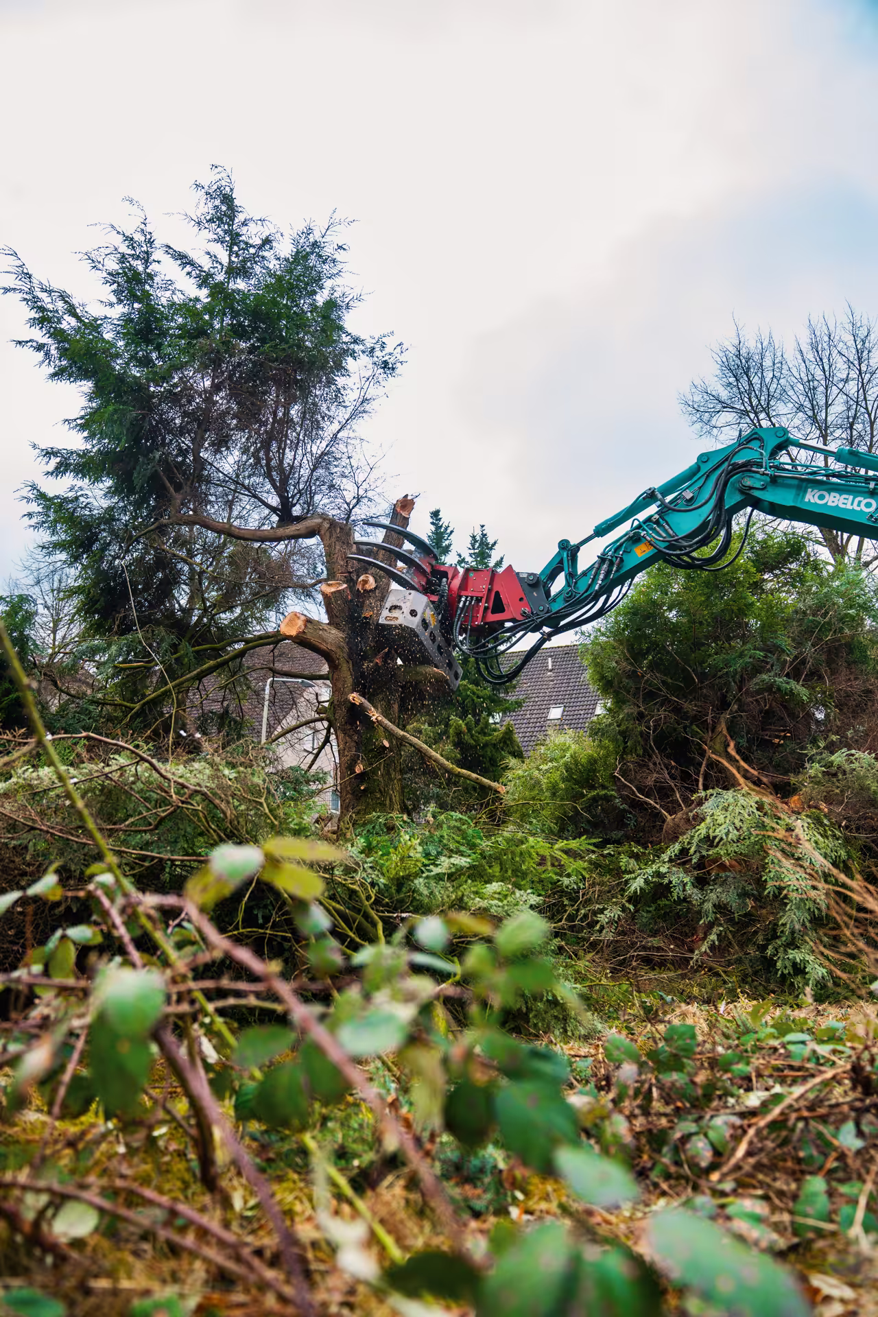 Baum wird mit einem großen Greifarm einer Kobelco-Maschine geschnitten.