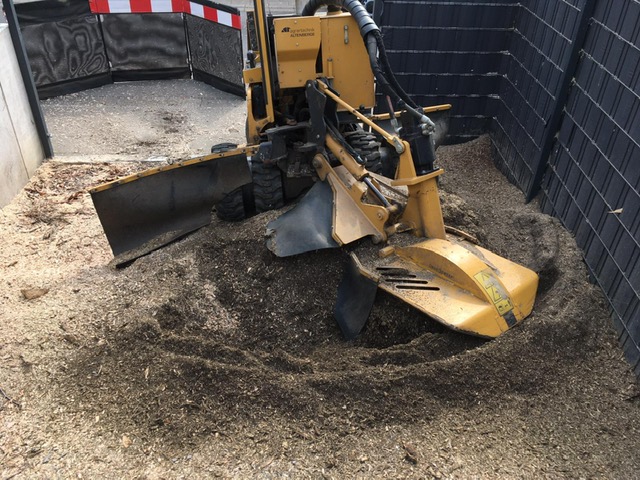 Gelbes Holzzerkleinerungsgerät verarbeitet Holzspäne in einem umzäunten Bereich.