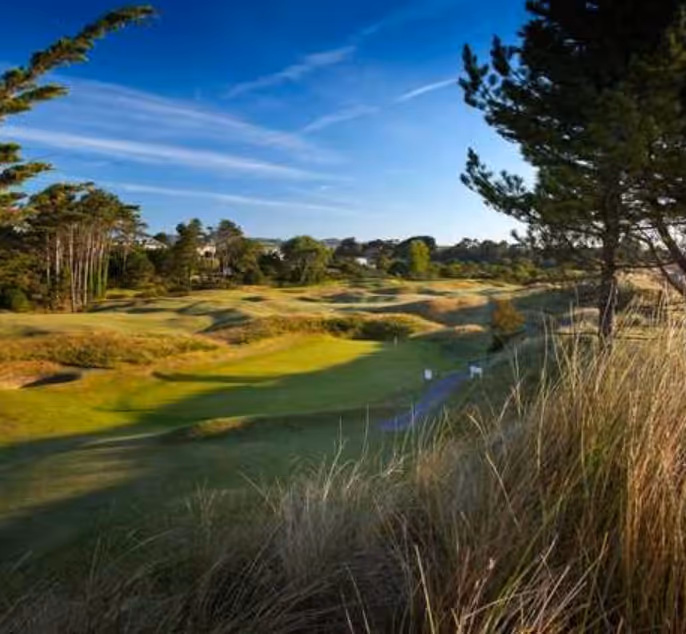 Golf course with green fairways, sand bunkers, and tall grass under a blue sky with wispy clouds.