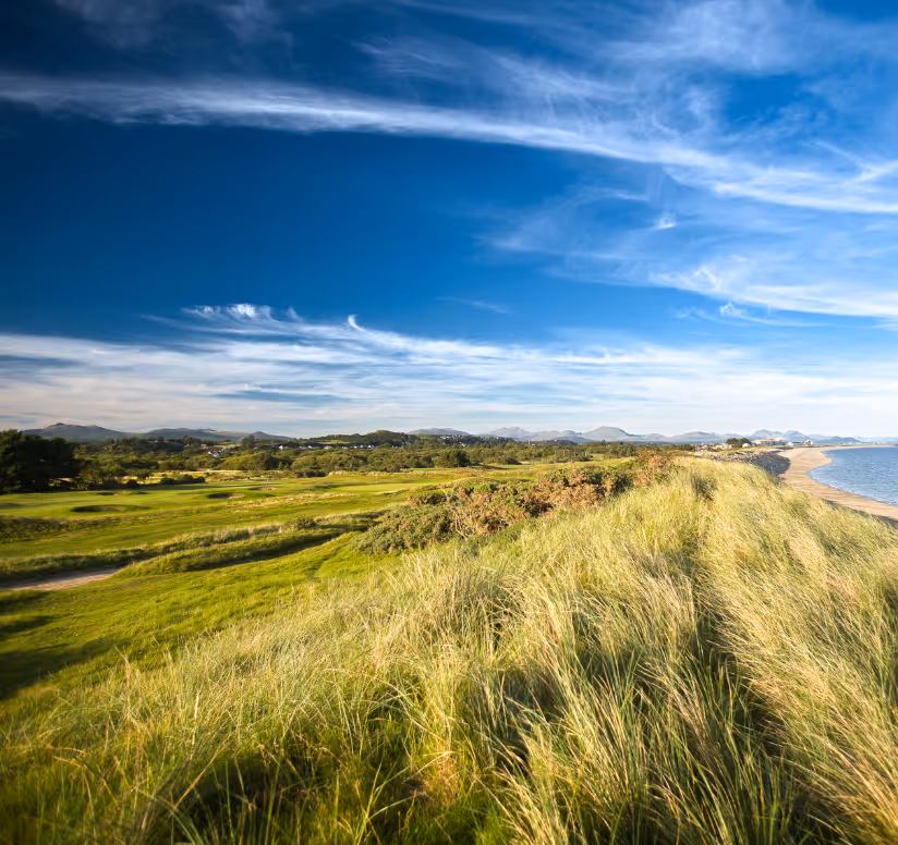 Coastal landscape with green grassy dunes, a sandy beach, calm water, and a partly cloudy blue sky.