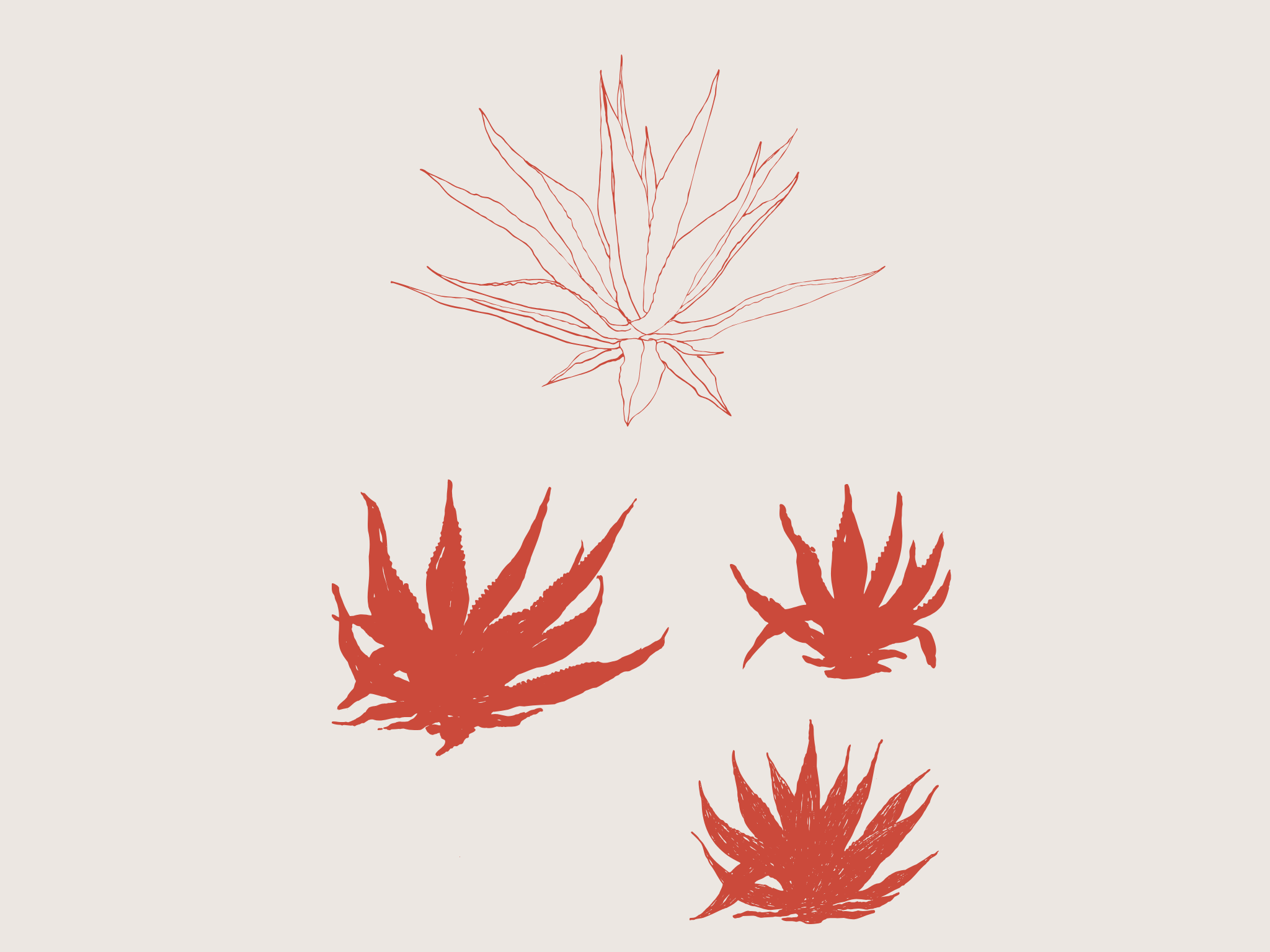 Fabulart's custom illustration of agave, Heritage Hotel Zagreb