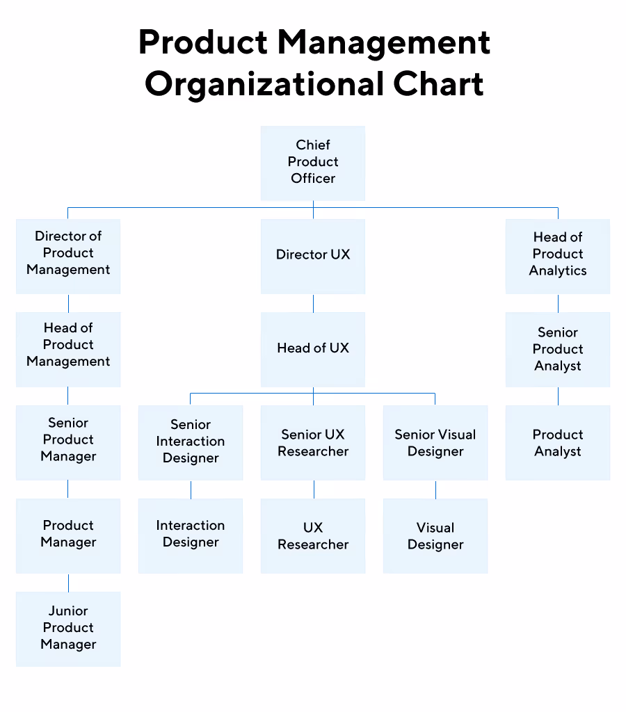 Product Management Organizational Chart by ProductPlan