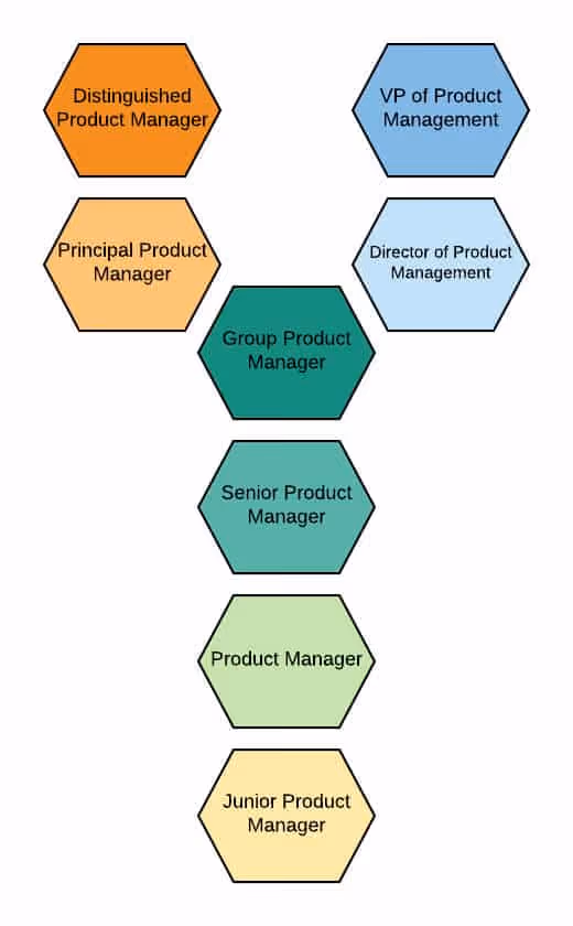 Dual track product management career ladder
