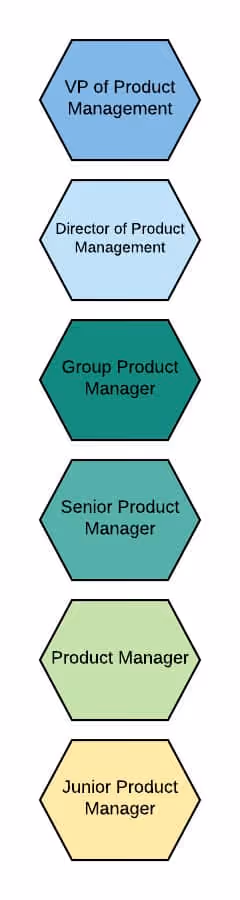 Single track product management career ladder