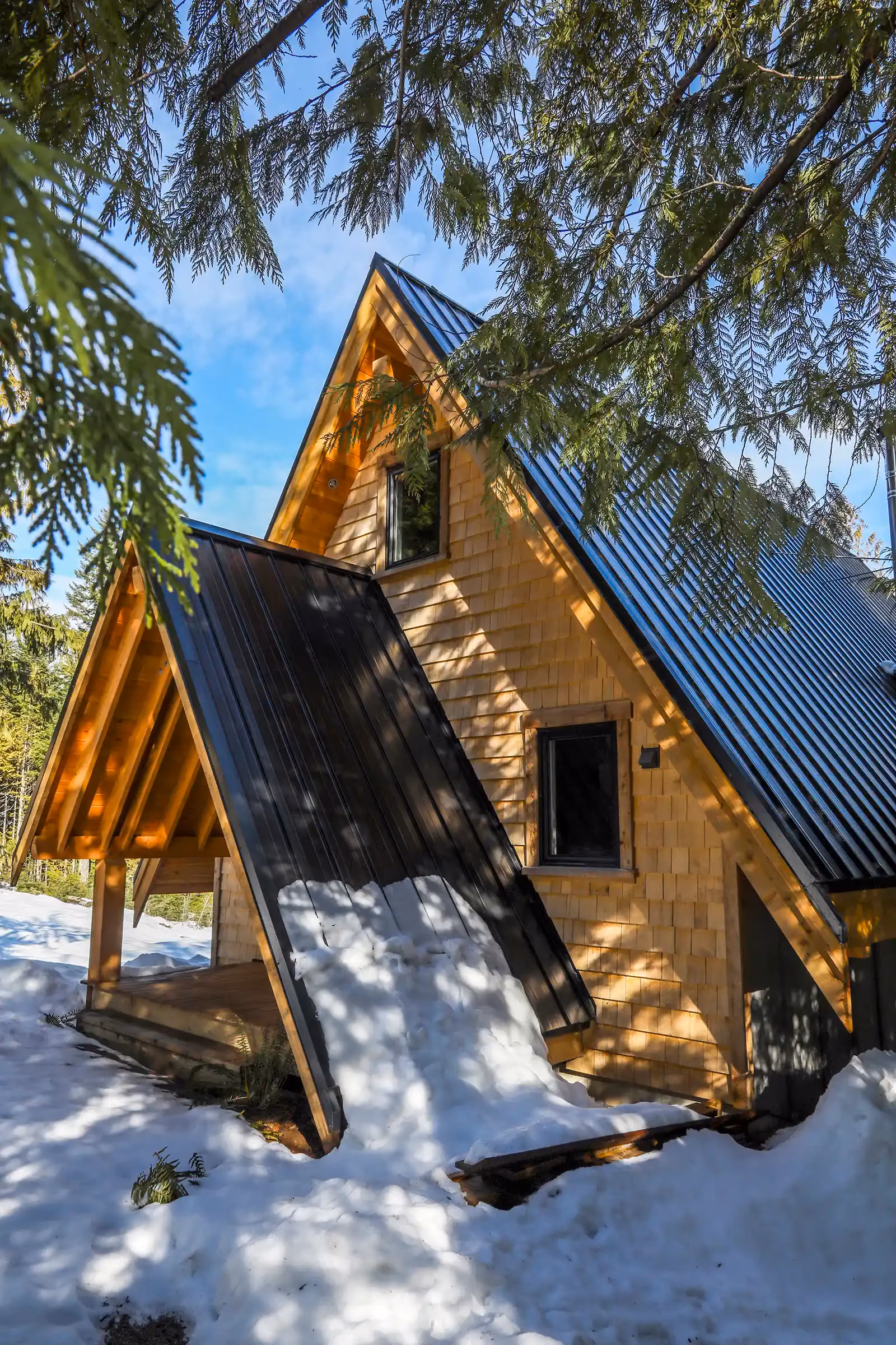Deck and outdoor space of A Plus A-frame cabin at Forbidden Plateau surrounded by coniferous forest