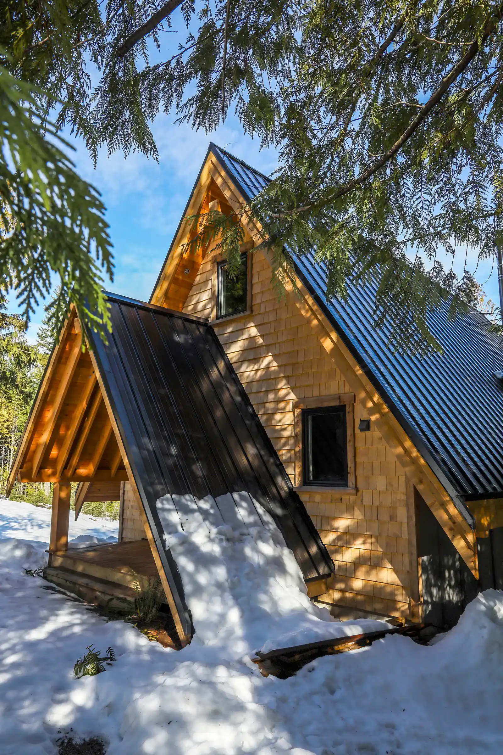 Deck and outdoor space of A Plus A-frame cabin at Forbidden Plateau surrounded by coniferous forest