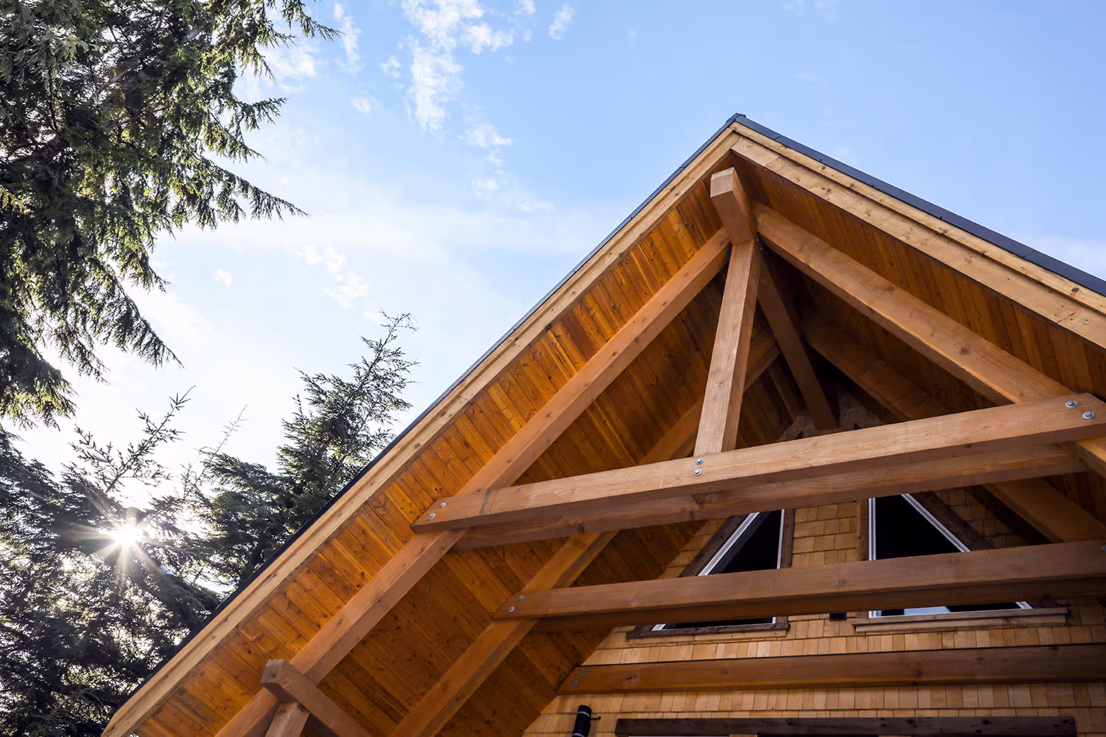 Structural timber beams of A Plus A-frame cabin showing the bold architectural lines of the roof apex