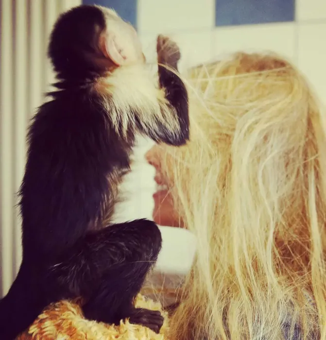 Dieses Tier ist ein Promi - Justin Biebers Affe 'Mally'