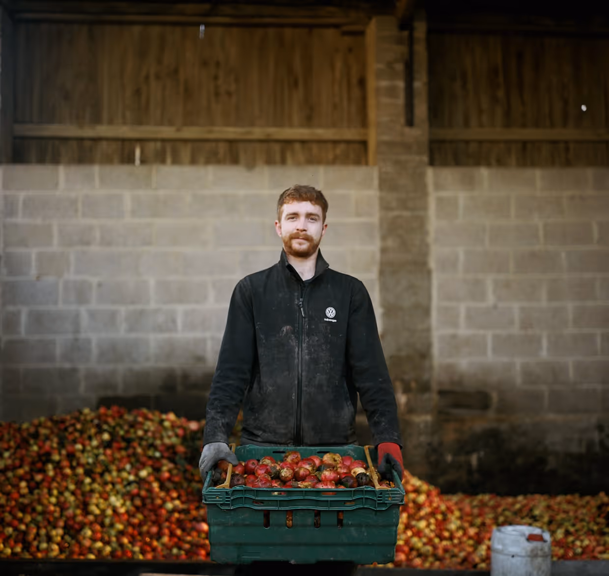 Man in a black jacket holding a crate full of apples in front of a large pile of apples inside a barn.