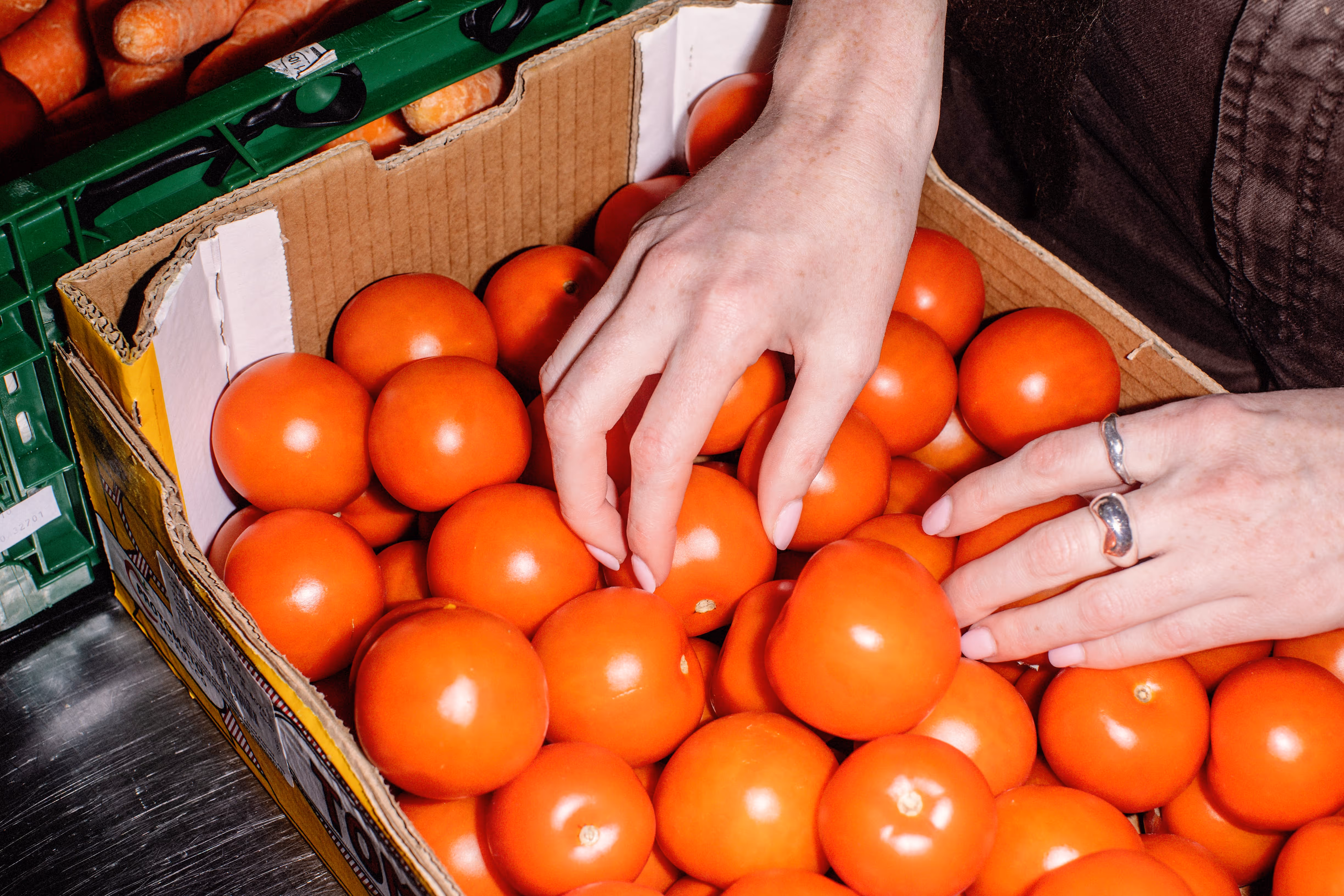 Hands with rings selecting ripe red tomatoes from a cardboard box filled with tomatoes.