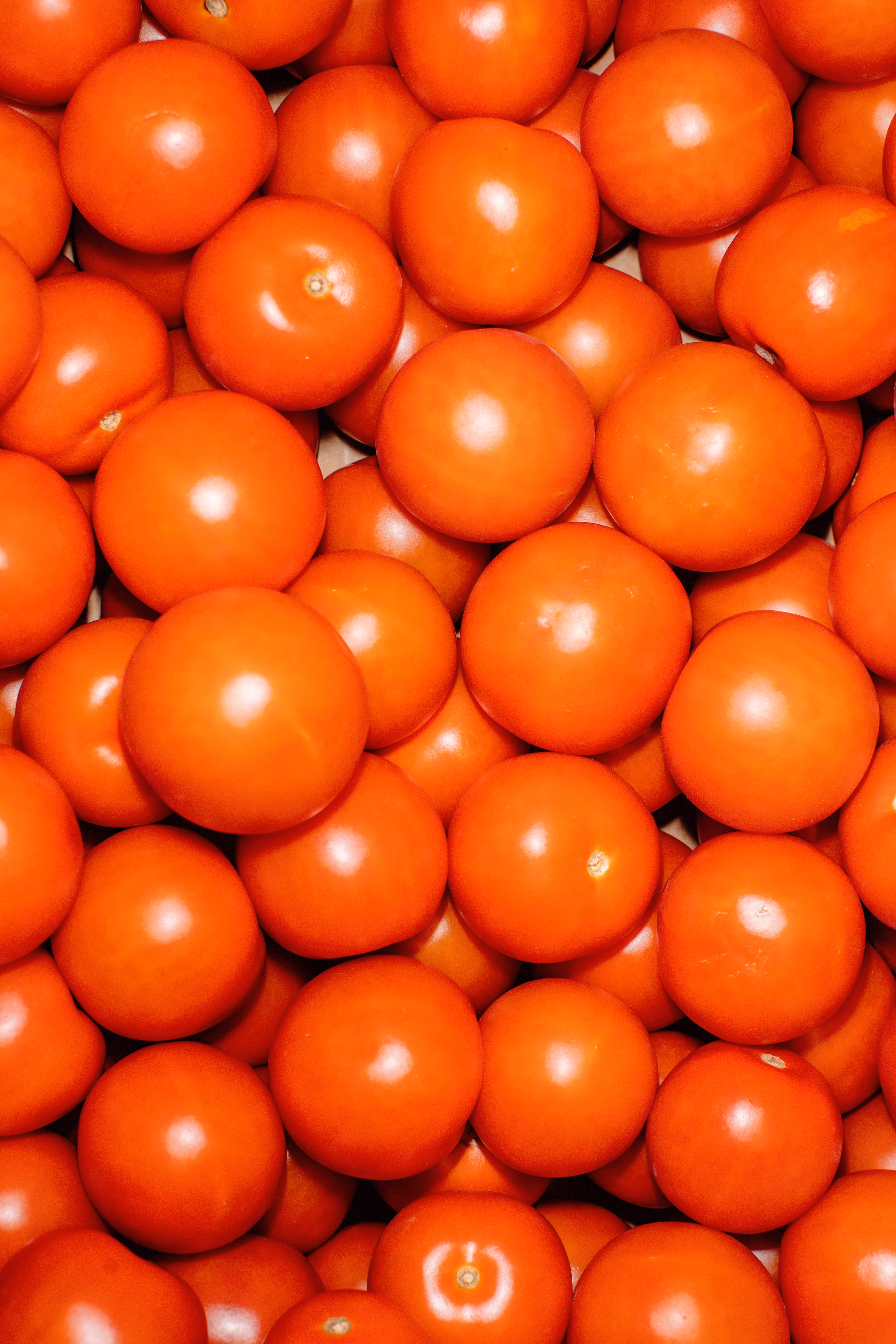 Close-up of a pile of ripe red tomatoes.
