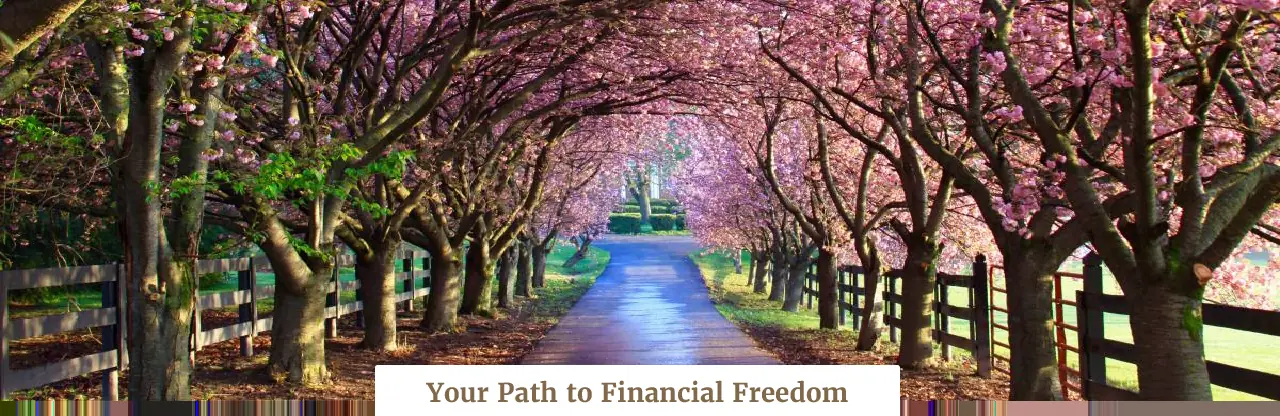 Blossoming cherry trees lining both sides of a walking path
